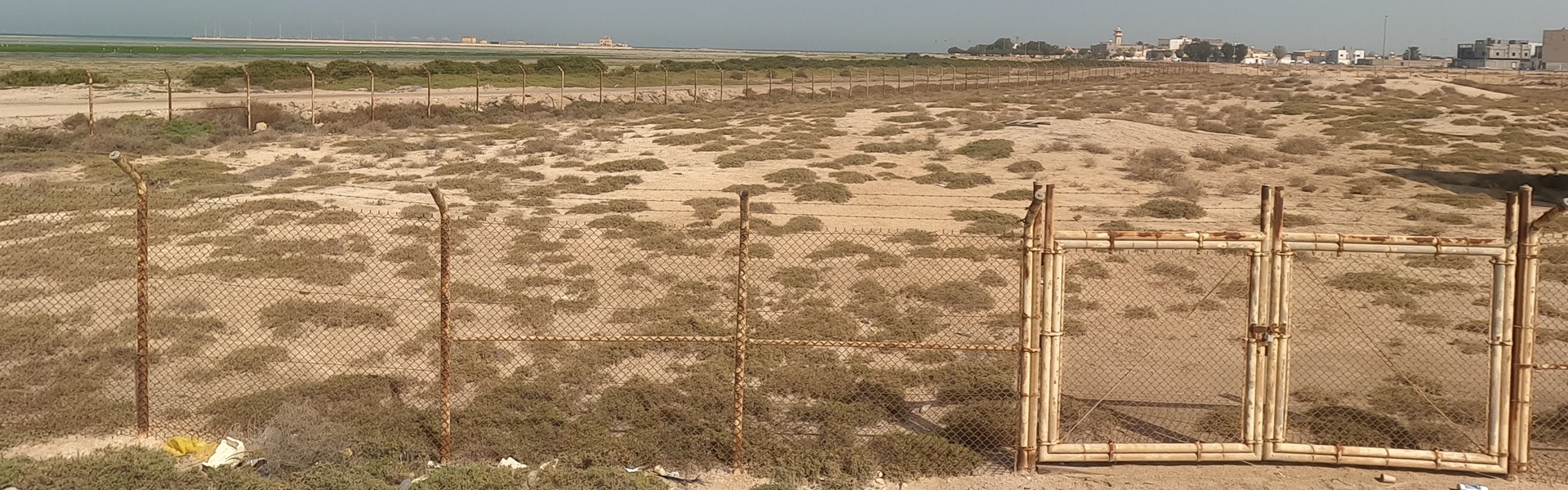 مدافن قرية الزور